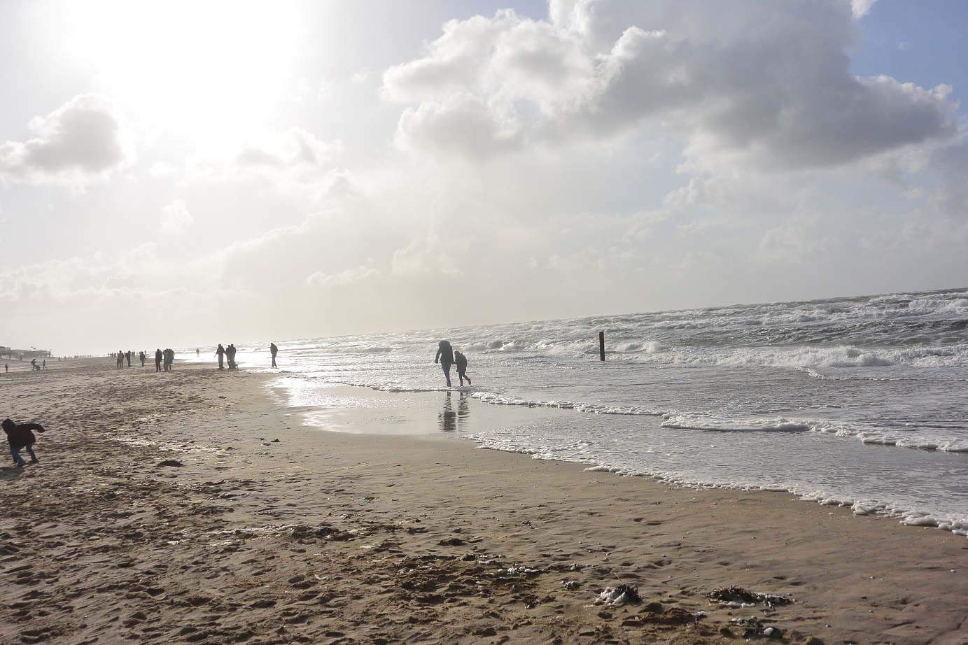 vakantie-texel-herfst-2014-040.jpg