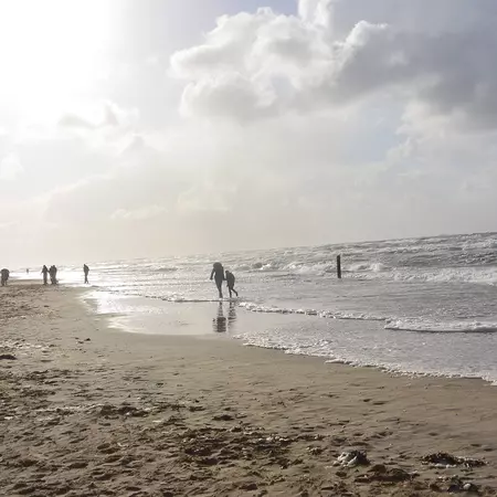 A Sustainable Culture