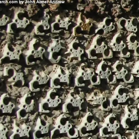 Chandigarh's Rock Garden