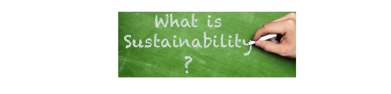 whatssustainability-566105947.jpg