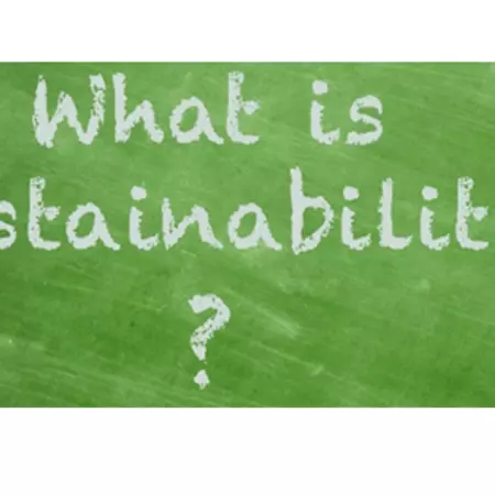 What is sustainability?