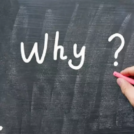 why.jpg