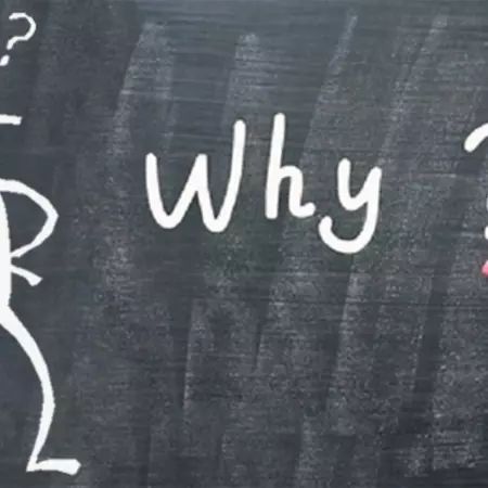 why.jpg