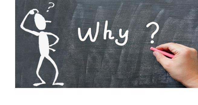 why.jpg