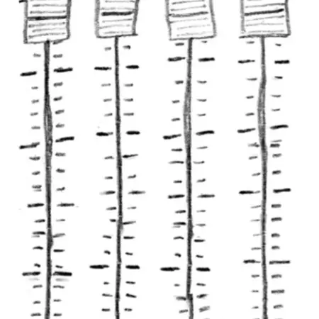 Lessons learned: the cost-saving pilot project
