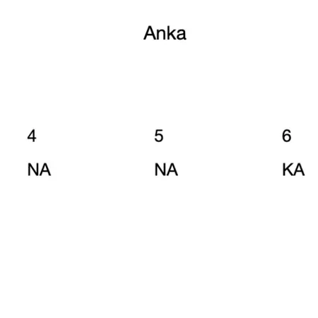 Anka 9