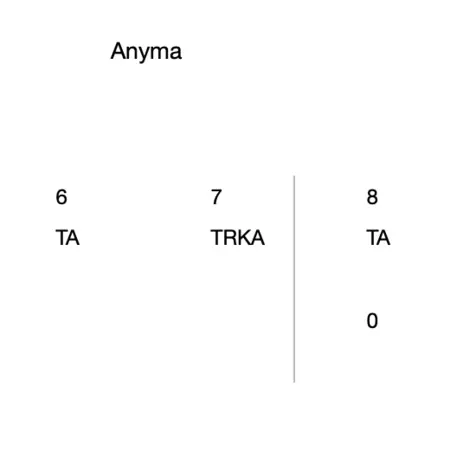 Anyma 13