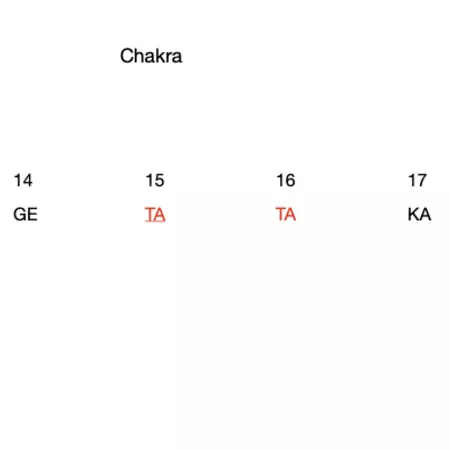 Chakra 30