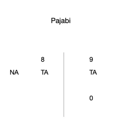 Pajabi 16