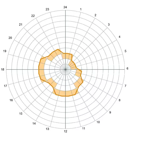 rhythm wormerveer all.jpg rhythm wormerveer all.jpg