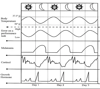 rhythm visual 7