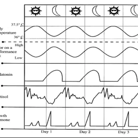 rhythm visual 7 rhythm visual 7