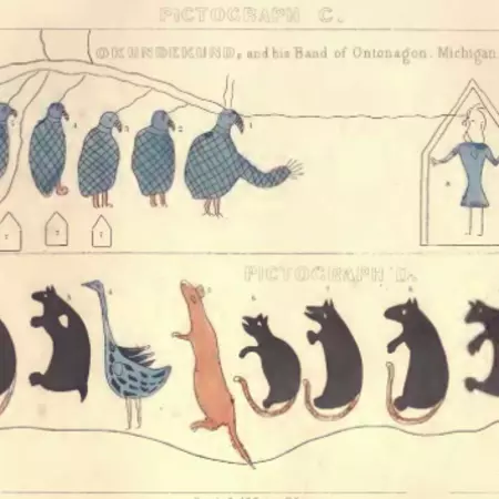 rhythm visual 12